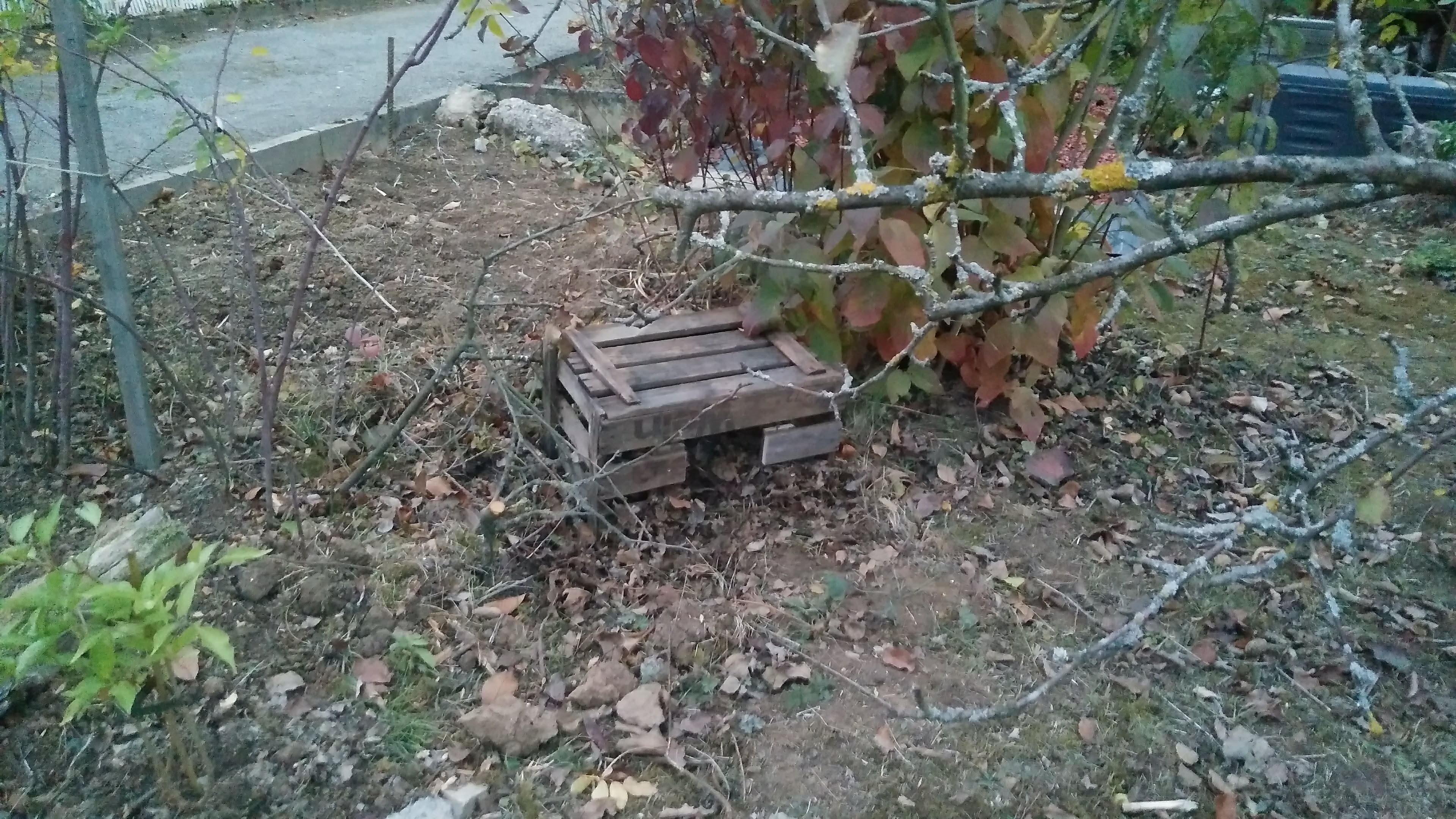 Unser Igelhäuschen im Garten