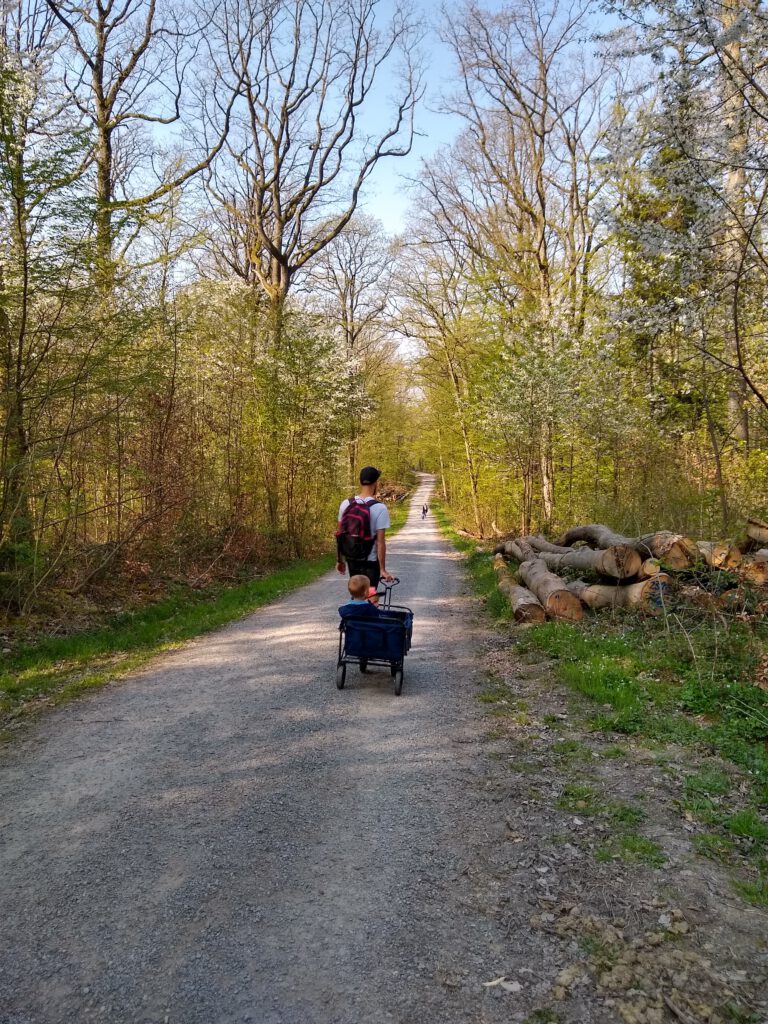 waldweg
